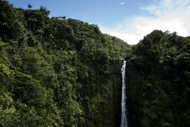 Tall waterfall plunging down a sheer cliff face surrounded by dense tropical rainforest