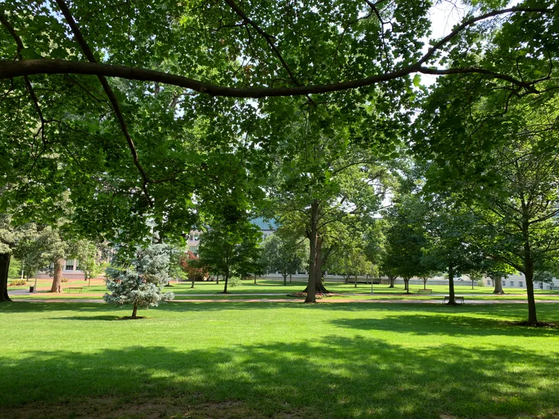 Sunlit green lawn and mature shade trees in a peaceful London park on a summer afternoon