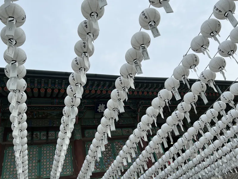 Rows of white paper lanterns with Korean calligraphy strung beneath the painted eaves of a Buddhist temple