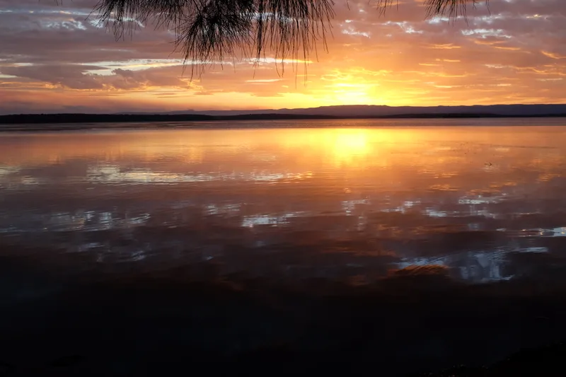 Golden sunset reflected on glassy still water with scattered clouds and a pine branch overhead