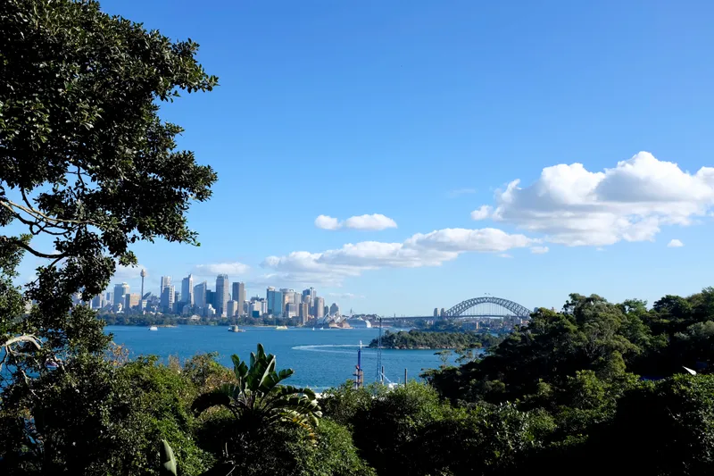 Sydney skyline and Harbour Bridge framed by trees across the harbor on a sunny day