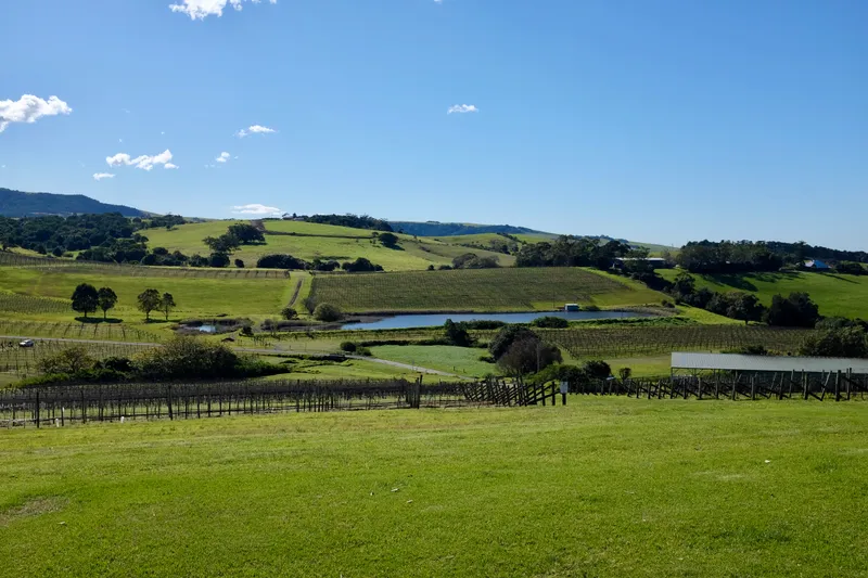 Green vineyard-covered hills with a farm pond and fenced pastures in the Australian countryside