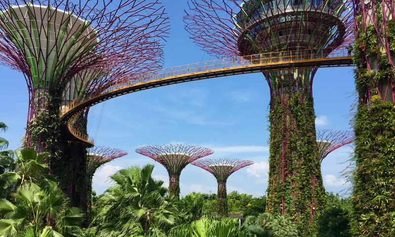 Supertree Grove at Gardens by the Bay with vine-covered towers connected by an elevated skyway